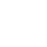 Ícone de Segurança Digital